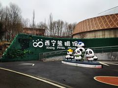 -青藏高原野生动物园