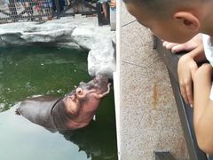 -灵玲国际马戏城