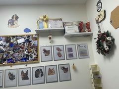 -美联众合动物医院·24h转诊中心