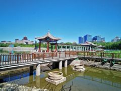 -莲花池公园