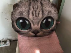 -海边的猫和咖啡馆