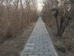 -元大都城垣遗址公园