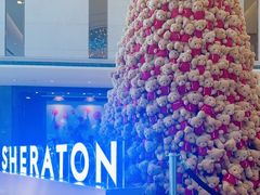 -中山喜来登酒店