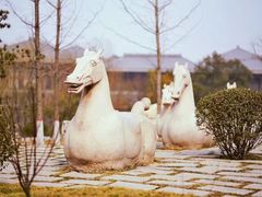 -鹦鹉寺公园