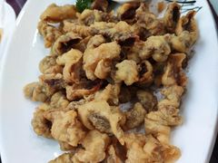 传统烧羊肉-清雅轩·清真菜·春饼•烤鸭(滑翔店)