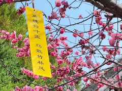 -大慈恩寺(大雁塔)