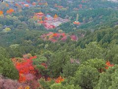-香山公园