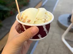 -哈根达斯(赛特奥莱店)