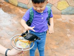 -灵玲国际马戏城