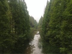 -黄海国家森林公园