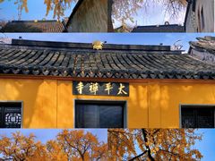 -西园戒幢律寺