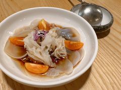 自制油醋汁绣丸子菌白玉耳-十二舍·湯物素煮(江泰潤政店)