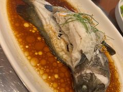 清蒸石斑鱼-古韵轩·江浙融合菜(梁溪店)