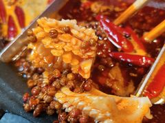 肥龙发鱿鱼-肥龙火锅(南坪店)