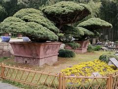 -水绘园
