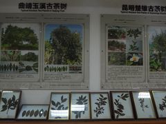 -西南林业大学(白龙校区)