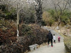 -石老人观光园