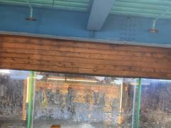 -海合安青岛极地海洋公园