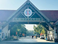 -上海海湾国家森林公园