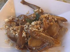 -百利鸽王(紫薇路店)