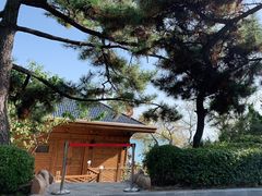 -棒棰岛宾馆景区