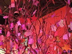 -长藤鬼校(观音桥店)