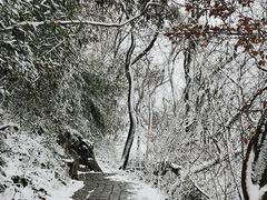 -紫金山山顶公园