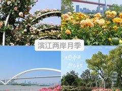 -上海辰山植物园