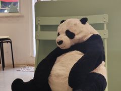 -红小姐咖啡馆(西津渡店)