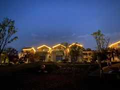 -铁山坪森林公园