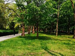 -玲珑塔公园