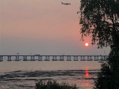 -宝安西湾红树林湿地公园