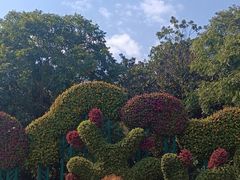 -上海共青森林公园