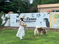 -趣玩宠物乐园寄养训犬训狗游泳池