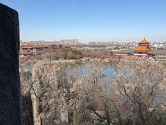 -中国翰园碑林
