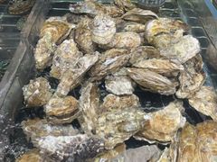 -浩运海鲜·16年专注青岛菜(石老人店)