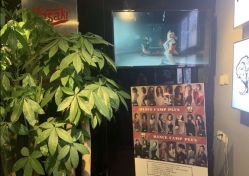 -YASAKI国际舞蹈中心