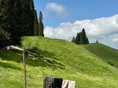 -伊犁河风景区
