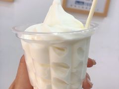 牛奶冰淇淋-白色日记·手作酸奶(麦凯乐店)