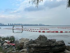 -天津东丽湖风景区