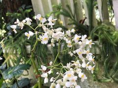 -华南国家植物园-售票处