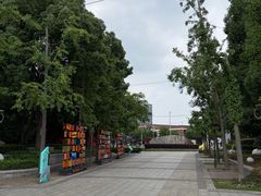 -南翔镇银翔湖公园