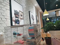 -藏猫猫咖啡主题馆(中央大道店)