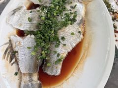 -阿巧茶庄