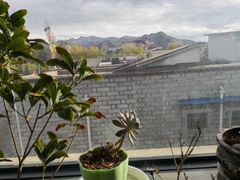 -墨白私房菜·广东菜 粤菜