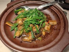 -陶陶居酒家(新天地店)