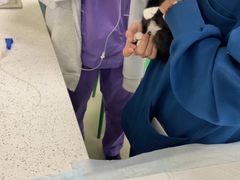 -天宠宠物医院24小时·急重症诊疗中心·全科·腔镜特色(和平分院)