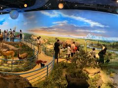 -陕西自然博物馆