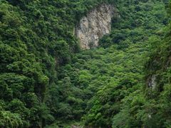 -太鲁阁公园