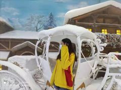 -世界之窗阿尔卑斯冰雪世界